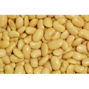 Fava Manteiga Kg