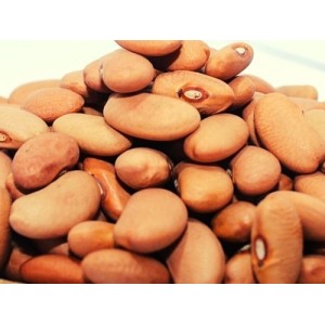 Feijão Manteiga Especial Kg