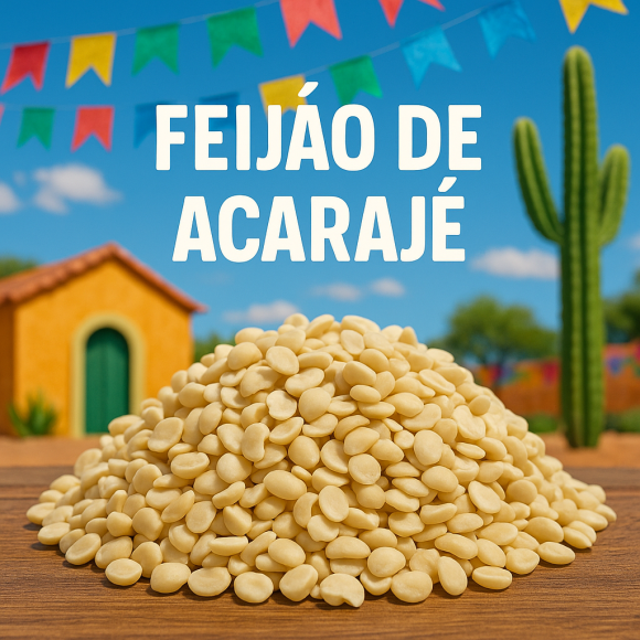 https://www.mercadonordestino.or01.futurasistemas.com.br/image/cache/data/eftr/Img_ftr_rp_66104-580x580.PNG